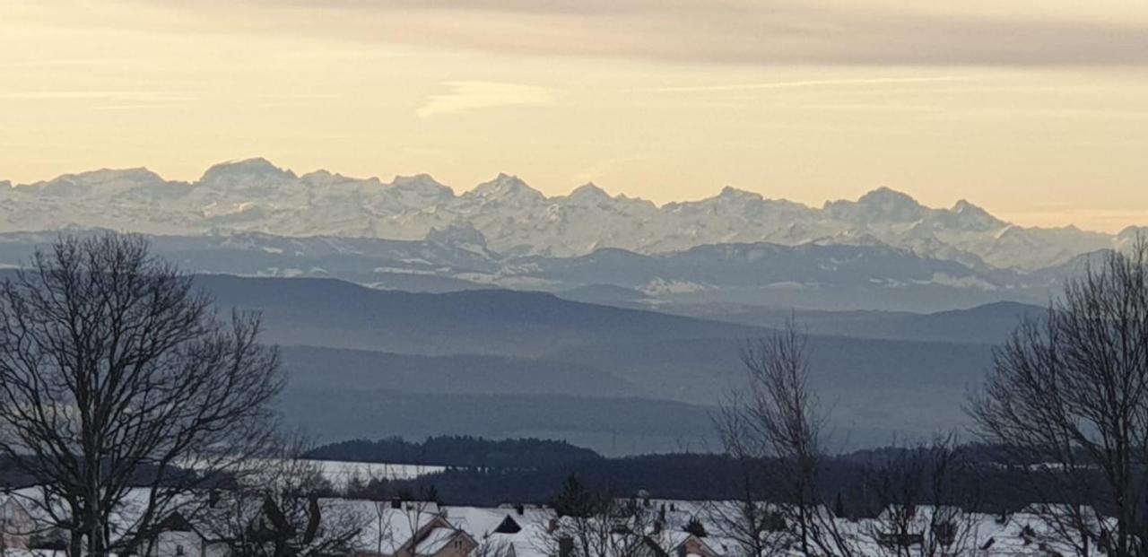 Ferienwohnung Francois Höchenschwand Kültér fotó